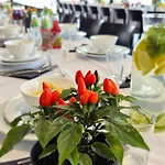 Apartment Centrum Szkoleniowo - Noclegowe Hhm Hegelmann O Zgorzelec