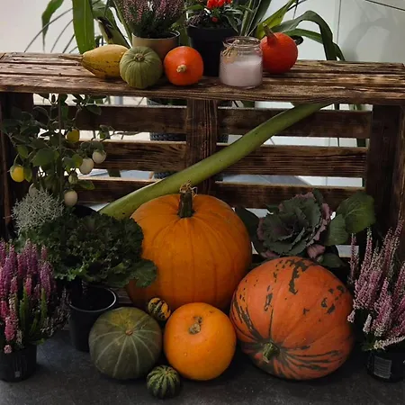 Appartamento Centrum Szkoleniowo - Noclegowe Hhm Hegelmann O Zgorzelec