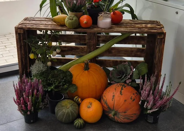 דירה Centrum Szkoleniowo - Noclegowe Hhm Hegelmann O זגורזלק